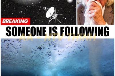 😱 The signal from the ocean floor matches the 3I/Atlas object – have the aliens already arrived?