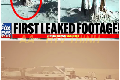 James Webb telescope allegedly detects alien mega-cities on Proxima B