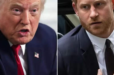 Prince William Shocks Britain With Blistering Critique of Politicians — London Reacts in Frenzy