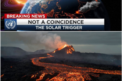 Solar Fury or Geological Coincidence? Inside the Chain of Eruptions That Has Scientists Alarmed