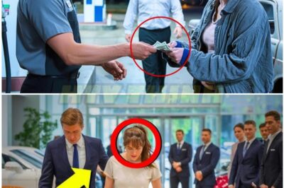 The mountain wind howled through the empty streets of Aurora, Colorado, slicing through the cold October night like a thousand icy needles.