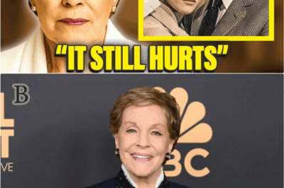 What Julie Andrews Confessed at 89 Left Fans Crying Worldwide