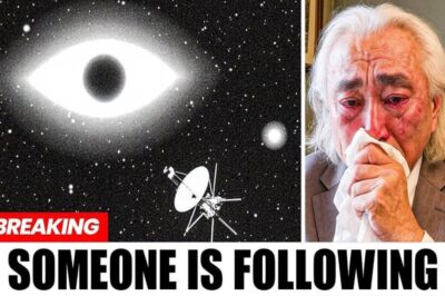 The signal from the ocean floor matches the 3I/Atlas object