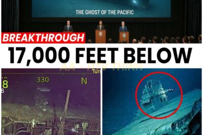 Underwater Drone FINALLY Found USS Hornet CV-8 At 17,000 Ft Depth — What Was Found Shocked Everyone