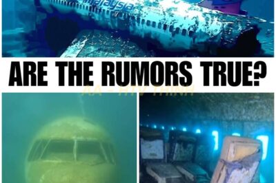 🚨WORLD SHAKEN 🚨 After 11 Years, Underwater Drone FINALLY Revealed The Location Of Malaysian Flight MH370!