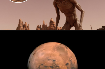 👽 New High-Resolution Images Reveal a Terrifying Martian Form — And Experts Are Struggling to Explain It 🤯🪐