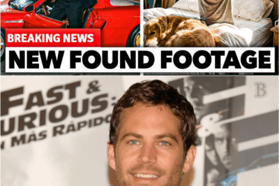 Shocking Details Emerge About Paul Walker’s Final Day on Earth