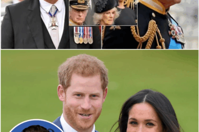 Harry and Meghan Demand Royal Apology After Fulani Double Standard, Palace Refuses — New Leaks Reveal Shocking Truth Behind the Rift
