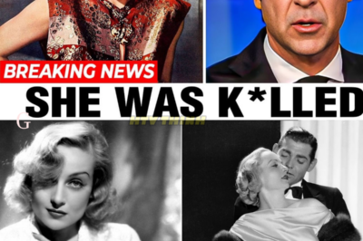 John Fogerty Breaks His Silence at 80 — The Real Reason He Struggles to Forgive Tom Leaves Fans in Tears