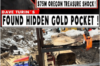 Oregon Gold Shock: Dave Turin Strikes $75 Million Treasure Hidden Behind a Sealed Rock Wall