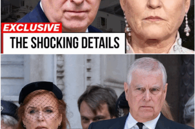 EXPOSED: The Hidden Chaos Behind Andrew & Fergie’s Scandalous Marriage Uncovered