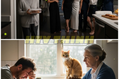 “When My Daughter-In-Law Shouted ‘You Old Hag, Why Don’t You Just Die Already?’ I Found My Power and Walked Away”