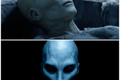 “From Exiles to Architects: The Evolution of Humanity on Alpida 🌌🌱✨”