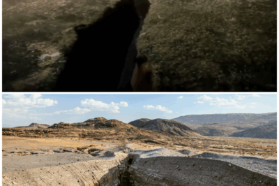 🌍 “Africa’s Dramatic Split: Witness the Birth of a New Ocean as the Continent Cracks Apart!” 🌊✨