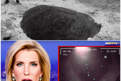 Camera Thrown Into Mel’s Hole, What They See Terrifies The Whole World