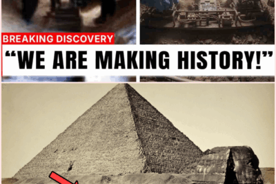 Archaeologists Unearth the “God Circuit”: Exploring the Quantum Secrets Beneath Giza