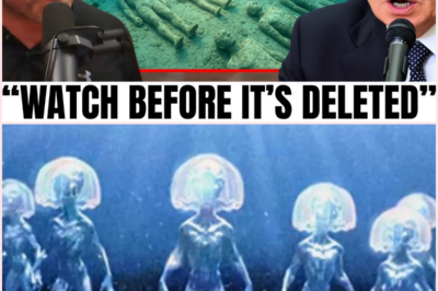 Joe Rogan Reveals Terrifying Discoveries Beneath the Arctic: What Soviet Divers Found