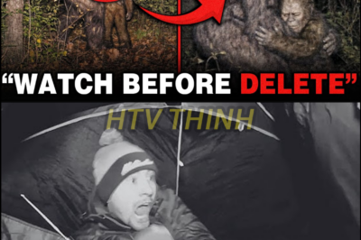 “Don’t Hurt Them!”: The Bigfoot Videos That Experts Say AREN’T AI — And The World Isn’t Ready