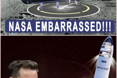 SpaceX SHOCKS NASA and China with Legless Lunar Landing Proposal