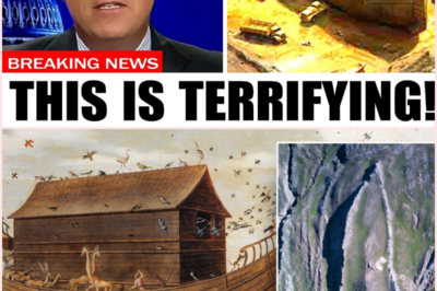 Jesus Warned Us! The Shocking Discovery Inside Noah’s Ark in Turkey