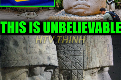 AI Scans the Olmec Heads—and Uncovers a Hidden Civilization Lost to Time