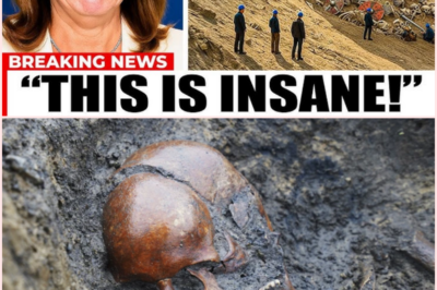 Unveiling the Past: The Discovery of a Viking Mass Grave in Denmark