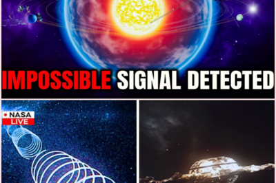 🚨 The Spacecraft That Should Be Silent Is Talking Back: Voyager 1 Enters Unexplained Cosmic Realm!