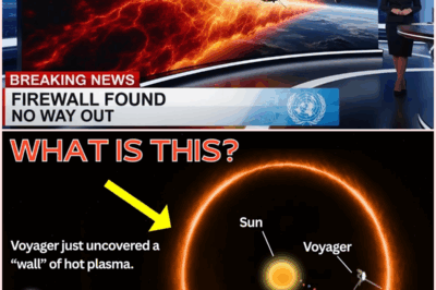 NASA Confirms: The 50,000° Barrier Surrounding Our Solar System