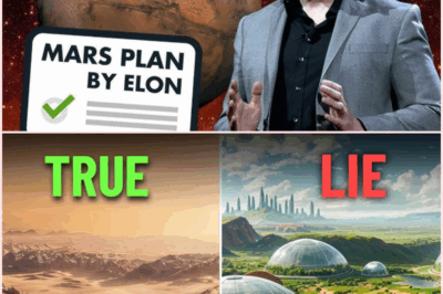 The Lies Elon Musk Has Told About Mars: A Critical Examination