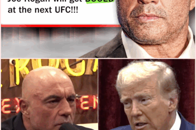 The Joe Rogan Situation: A Complex Web of Media Manipulation and Political Commentary