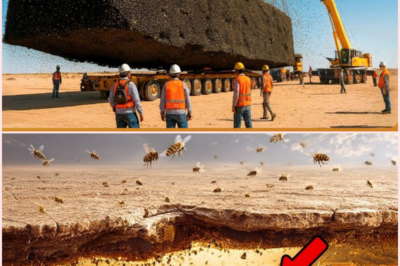 Nevada’s Bold Experiment: Millions of Bees Transform a Barren Desert