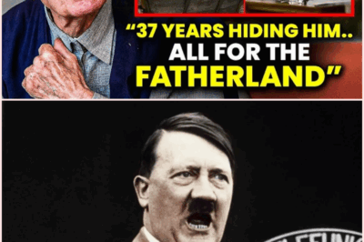 Hitler Escaped Berlin?! SS Officer Breaks Silence With Terrifying Confession!