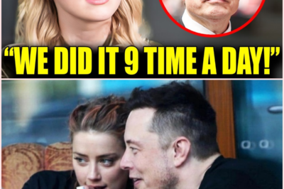 Amber Heard and Elon Musk: A Relationship of Dreams and Nightmares