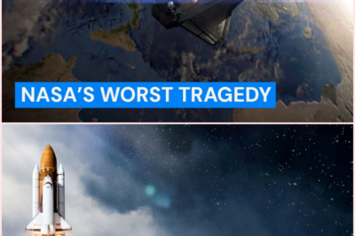 The Columbia Space Shuttle Disaster: A Scientific Examination of Tragedy and Lessons Learned