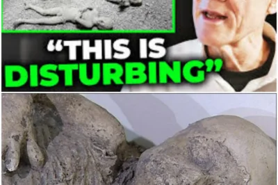 Archaeologists Discover a Family Frozen in Their Final Embrace — Pompeii’s Most Heartbreaking Scene Yet 😢🕯️”