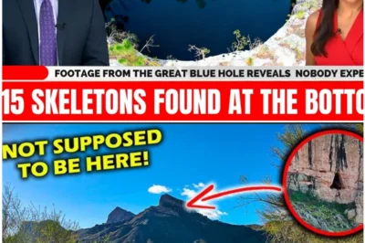 Underwater Cameras Enter the Great Blue Hole — The Skeleton That “Shouldn’t Exist” Stunned Archaeologists 😱🌊
