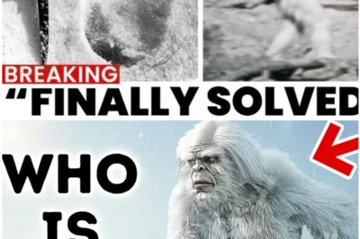 DNA Unlocks the Himalayan Yeti Mystery — But Scientists Warn “This Is No Ordinary Bear” 😱❄️