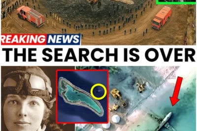 “After 88 Years, Amelia Earhart’s Plane Finally Found—The Truth About Her Disappearance Is Revealed!”✈️