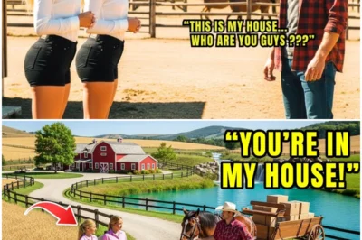 As the wind gently moved the curtains, Dorian felt a sense of calm wash over him. He stood there, his hand resting lightly on Dana’s photograph, as if she could somehow hear him.