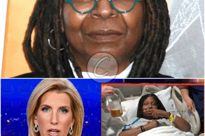 𝚂𝚝𝚘𝚛𝚢 𝚘𝚏 𝚁𝚎𝚜𝚒𝚕𝚒𝚎𝚗𝚌𝚎