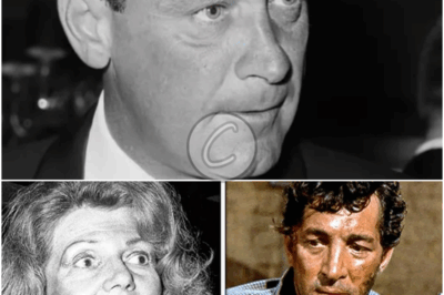 ℱ𝒶𝓂ℯ 𝒶𝓃𝒹 𝒟ℯ𝓈𝓅𝒶𝒾𝓇