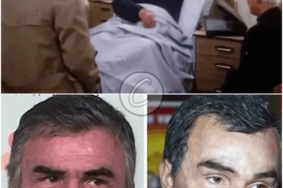 𝐆𝐫𝐞𝐚𝐭𝐞𝐬𝐭 𝐒𝐭𝐚𝐫𝐬