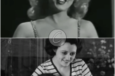 𝘼𝙜𝙚 𝙎𝙩𝙖𝙧𝙨