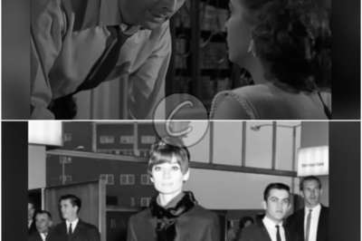 𝐈𝐥𝐥𝐮𝐬𝐢𝐨𝐧𝐬 𝐨𝐟 𝐅𝐚𝐦𝐞