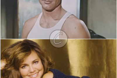 𝒮𝒶𝓁𝓁𝓎 ℱ𝒾ℯ𝓁𝒹