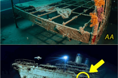 “Hidden Letters, Luxurious Artifacts, and Unseen Secrets Challenge Everything We Thought We Knew About the Ill-Fated Ship 🔥👀✨”