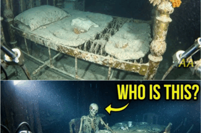 “Breaking: New Titanic Footage Reveals a Chilling Presence in the First-Class Dining Room—Strange Heat Spikes, Moving Shadows, and a Missing 14 Seconds That Scientists Can’t Decode 👁️🗝️✨”