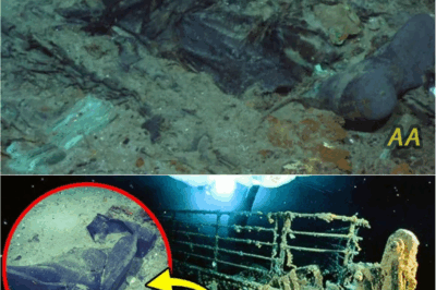 **“Titanic’s Dark Secret: The Chilling Fate of Victims’ Bodies Revealed After the Ship Sank 👁️🗝️✨”**