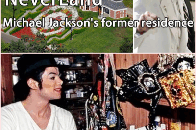 🔥 Never-Before-Seen Michael Jackson Tapes Discovered in Secret Vault – The Truth Revealed