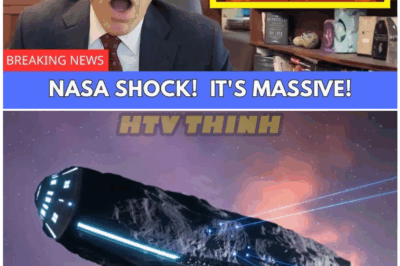 🦊 NASA Just REVEALED the Shocking True Size of 3I/ATLAS—Scientists Are Left Speechless as Avi Loeb Sounds the Alarm ⚡